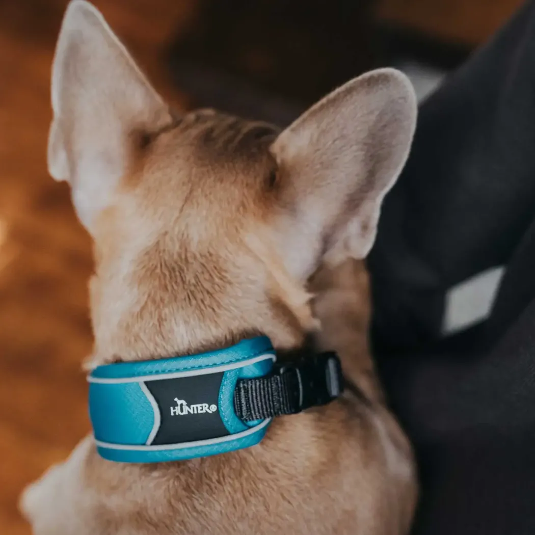 Hunter Halsbånd Divo L Lyseblå/Grå - justerbart hundehalsbånd (45-55 cm, B 4,5 cm)