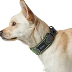 Hunter Halsbånd Divo M Grøn/Grå - justerbart hundehalsbånd (35-45 cm, B 4,5 cm)