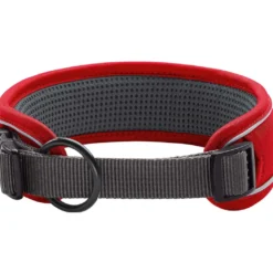 Hunter Halsbånd Divo S Rød/Grå - justerbart hundehalsbånd (25-35 cm, B 4 cm)