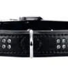 Hunter Halsbånd 40 Modern Art Deluxe Sort - 29-35 cm