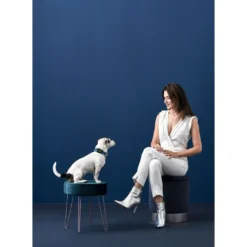 Hunter hunde halsbånd Hilo Blå S-M - justerbart hundehalsbånd (30-43 cm, B 2,5 cm)