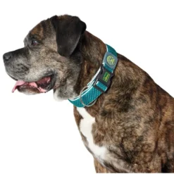 Hunter hunde halsbånd Hilo Turkis S-M - justerbart hundehalsbånd (30-43 cm, B 2,5 cm)