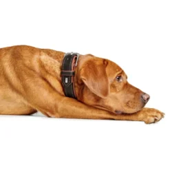 Hunter Hundehalsbånd læder Canada Elg Str.30 Sort/Cognac - 21-25 cm
