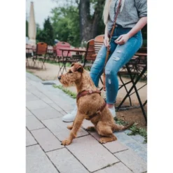 Hunter Hundesele Aalborg cognac XXL (M-L/2) - Bryst/hals 62-90 cm