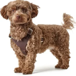 Hunter Hundesele Aalborg mørkebrun XL (M-L/1) - Bryst/hals 58-80 cm