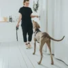 Hunter Hundesele Aalborg Sort S-M/1 - 44-56 cm bryst/hals