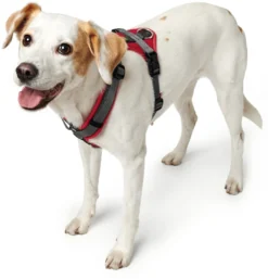 Hunter hundesele Maldon Rød og Grå S-M længde 46-82 cm 2,0 cm - fleksibel og stabil pasform