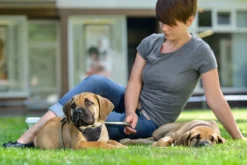Hunter hundesele Neopren Oliven S længde 45-57 cm 1,5 cm - blød og stabil komfort