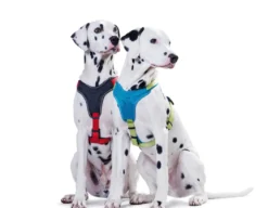 Hunter hundesele Neopren Rød XL længde 73-94 cm 2,5 cm - blød og stabil komfort