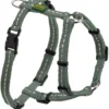 Hunter Hundesele Tripoli Oliven XS-S