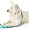 Hunter Hundesnor Hilo Turkis 15/200