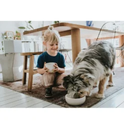 Hunter keramik Lund hunde skål 550 ml Beige