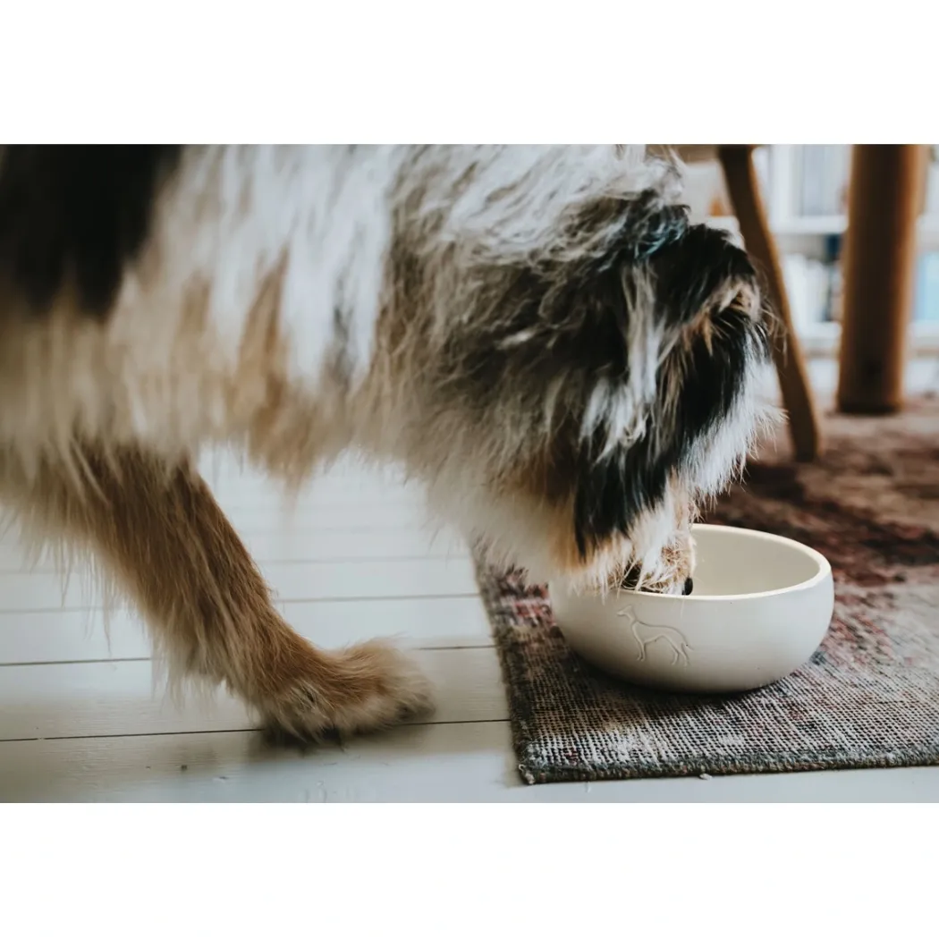 Hunter keramik Lund hunde skål 350 ml Beige
