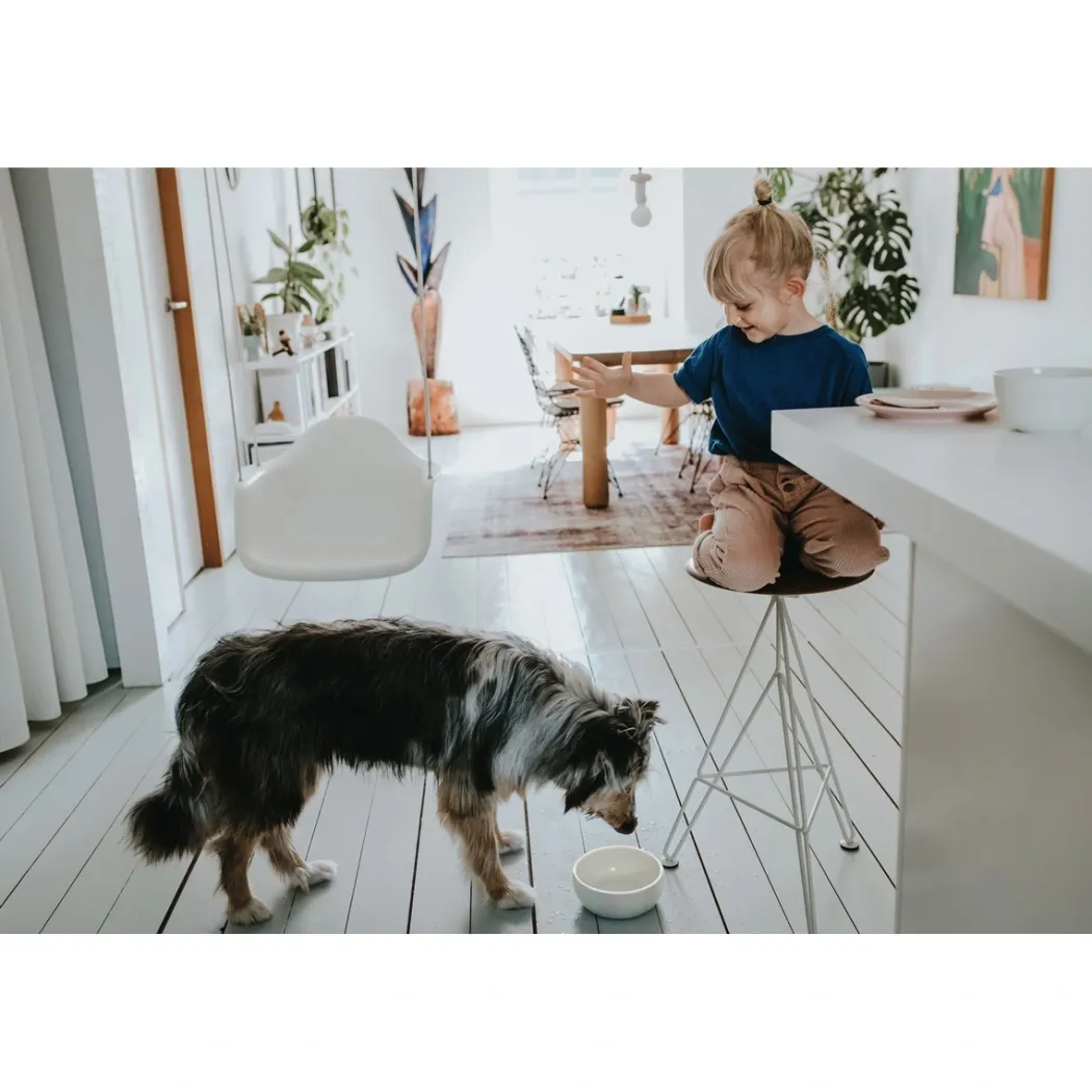 Hunter keramik Lund hunde skål 350 ml Beige