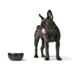 Hunter Keramik Lund Hunde Skål 1500 ml Sort