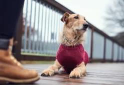 Hunter Malmø pullover strik bordeaux str. 25