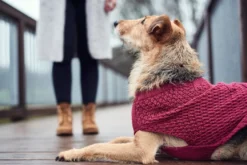 Hunter Malmø pullover strik bordeaux str. 35