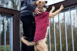 Hunter Malmø pullover strik bordeaux str. 35