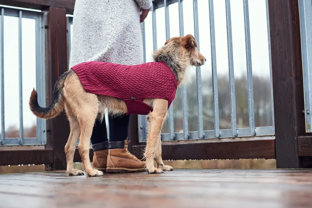Hunter Malmø pullover strik bordeaux str. 50