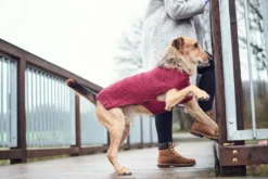 Hunter Malmø pullover strik bordeaux str. 50