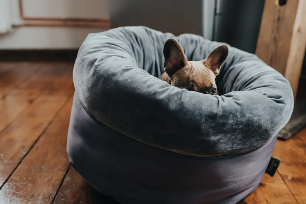 Hunter Miranda donut seng M Ø 50 cm Mørkegrå