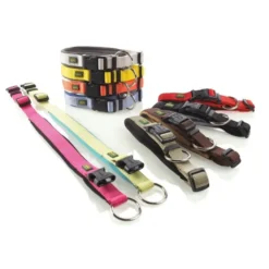 Hunter Neopren Plus hundehalsbånd grøn/petroleumsblå 60 cm - 55-60 cm indstilling