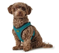 Hunter NY Hilo Comfort hundesele turkis M
