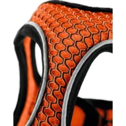 Hunter NY Hilo Comfort hundesele XXS-XS orange just mave 33-36 cm - Let komfort til små hunde