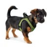 Hunter NY Hilo Comfort hundesele XXS-XS lime mave/bryst 33-36 cm - Fleksibel let pasform til små hunde