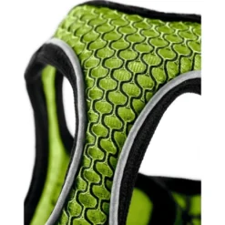 Hunter NY Hilo Comfort hundesele XXS-XS lime mave/bryst 33-36 cm - Fleksibel let pasform til små hunde
