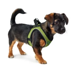 Hunter NY Hilo Comfort hundesele S-M lime mave/bryst 52-58 cm - Fleksibel støtte og komfort