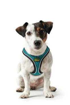 Hunter NY Hilo Comfort hundesele XXS turkis mave/bryst 31-33 cm - Ultralet komfort til små hunde