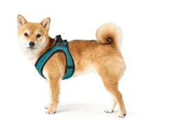 Hunter NY Hilo Comfort hundesele XXS-XS turkis mave/bryst 33-36 cm - Fleksibel let pasform til små hunde