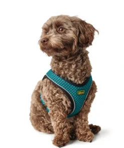 Hunter NY Hilo Comfort hundesele XS turkis mave/bryst 36-40 cm - Let komfort og fri bevægelse