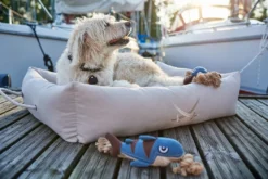 Hunter Sansibar Solid 40 Hundehalsbånd i læder - 30-36 cm