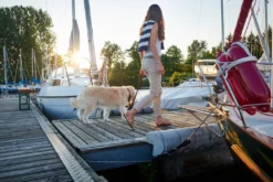 Hunter Sansibar Solid 65 Hundehalsbånd i læder - 52-59 cm