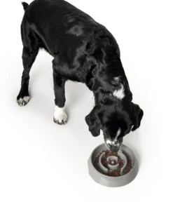 Hunter Slow Feeding 900 ml Grå
