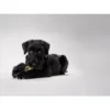 Hunter Training Snack Dummy Sort M - træningslegetøj til hunde
