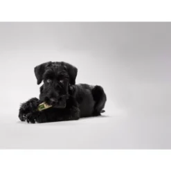 Hunter Training Snack Dummy Sort M - træningslegetøj til hunde