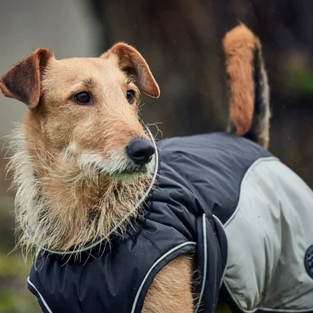 Hunter Uppsala Hundefrakke Grå 65 cm
