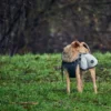 Hunter Uppsala Hundefrakke Grå 45 cm