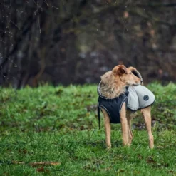 Hunter Uppsala Hundefrakke Grå 55 cm