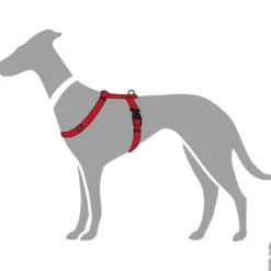 Hunter Vario Rapid hundesele Rød M-L mave 64-100 cm - let og sikker komfort