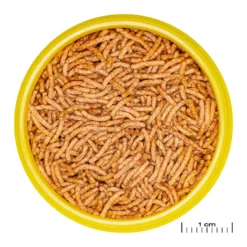 JBL ProNovo Betta Insektsticks S 100 ml