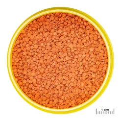 JBL ProNovo Bits Diskus Grano M 250 ml Click
