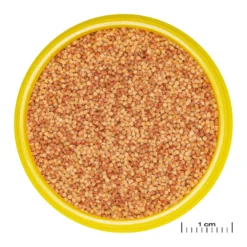 JBL ProNovo Color Grano S 100 ml