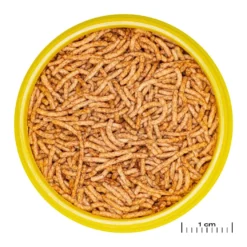 JBL ProNovo Red Insect S 100 ml Click