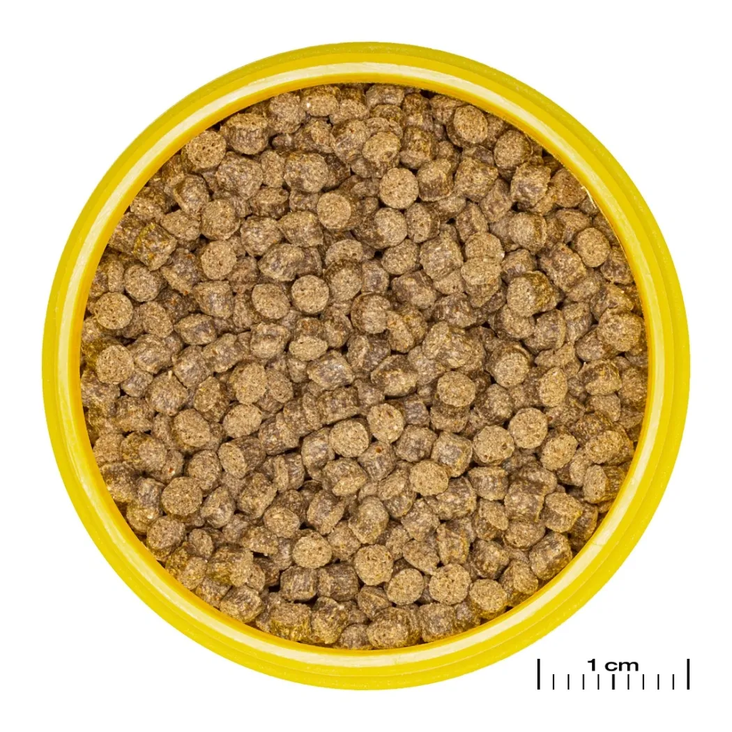 JBL ProNovo Slørhale Foderpille Grano M 250 ml Click
