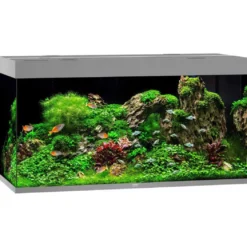 Juwel Akvarium Led Rio 350 Grå 121x51x66 cm 350 L