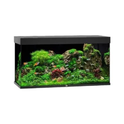 Juwel Akvarium Led Rio 350 Sort 121x51x66 cm 350 L